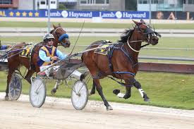 Empire Stallions added a new photo.