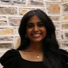 Bonaventura Summer Research Fellows Program