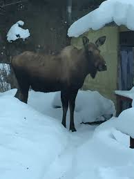 Join me as we continue our journey through the wilderness and stumble across this cabin the woods lost in time. Crooked Creek Cabins B B And Christian Retreat Home Facebook