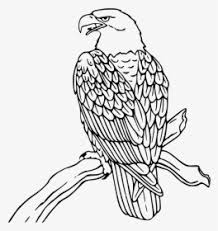 Some peregrine falcon coloring may be available for free. Mexican Eagle Drawing Flag Coloring Page Free Download Bald Eagle Coloring Page Hd Png Download Kindpng