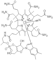 Cyanocobalamin Or Pancreatine