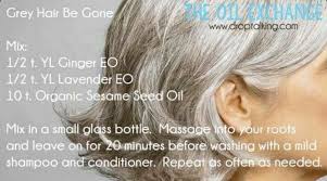 Grey Hair Be Gone Young Essential Oils Grey Hair Essential Oils Essential Oils For Hair