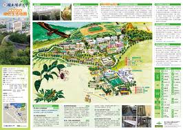 ym green map1 0 jpg 3477 2477 world languages norwood world