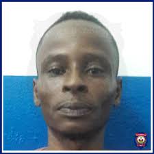 🔵 L'institution policière a capturé puis déféré au parquet de  Port-au-Prince plusieurs individus qui sont : Jerry Derilus, Idaniel Julma,  Joel Saint-Fleur, Junior Paul, Clervil Davidson, Edouard Louidonne. Ils  sont reprochés dans