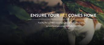 Check spelling or type a new query. Find My Pet Posts Facebook