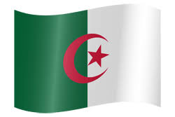 Mayunlong algerian flag skull welcome holiday family garden flag outdoor flags house decorative flag 12x18 inch. Algeria Flag Icon Country Flags