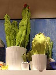Check spelling or type a new query. Fabric Cactus Plants Cactus Plants Handmade Plant Cactus Diy