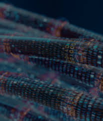 Clearmind.datumcorp.com receives less than 1% of its total traffic. Datumstruct