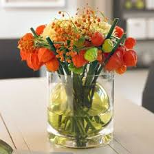 Alleskonnerin Physalis Info Und Dekoideen Zur Lampionblume In 2020 Lampionblume Lampions Physalis