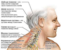Bol V Shee Prichiny Simptomy I Lechenie Publikacii Reaclinic