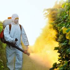 Pest Control Service Specialist