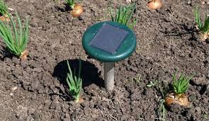 They have a motion sensor that triggers the ultrasonic noise whenever an animal walks by. 12 Best Solar Ultrasonic Pest Repellers Reviewed Rated In 2021