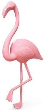 Hd wallpapers and background images. Casa Padrino Luxus Dekofigur Flamingo Vogel Rosa H 155 Cm Lebensgrosse Dekofigur Riesige Tierfigur Gartendeko Skulptur