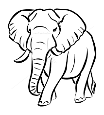 Download line drawing of elephant and use any clip art,coloring,png graphics in your website, document or presentation. Elephant Clip