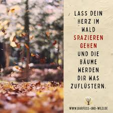 Seelenfutter Eine Kleine Weisheit Taglich Per Mail Zitate Natur Weisheiten Nachdenkliche Spruche