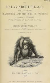 This page are specially made to promote the kpop song cover, dance cover, parody and so on. The Malay Archipelago 1869 Edition Open Library