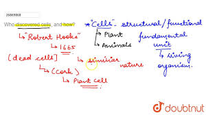 However, the cell membrane in plant cells is quite rigid, while, the cell membrane in animal cells is quite flexible. Who Discovered Cells And How