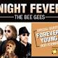 Night Fever & Forever Young in Georgetown event image