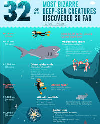 32 Of The Most Bizarre Deep Sea Creatures Discovered So Far Infographic Deep Sea Creatures Scary Ocean Deep Sea