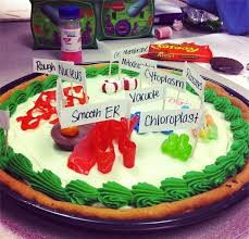 Teacher In The Making Edible Cell Plant Cell Project Edible Cell Project