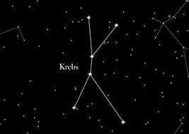 Um sie zu bestimmen, wurde das jahr in zwölf phasen unterteilt. Sternzeichen Krebs Starling Star Registry Blog Deutsch