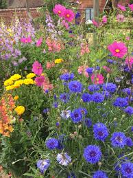 Packwood House Warwickshire July 2016 Blumen Bilder Blumen Bilder