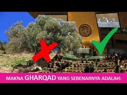 Israel serius dalam penanaman ghorqod. Salah Kaprah Gharqad Bukan Pohon Tapi Institusi Pelindung Zionis Yahudi Youtube