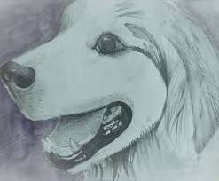 نتیجه جستجوی لغت [shadings] در گوگل