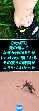 蚊対策 兄の俺より なぜか妹のほうがいつも蚊に刺される その驚きの原因がようやくわかった 蚊にさされやすい人もこれで大丈夫 蚊 対策 蚊に刺されやすい 蚊に刺され 常在菌 蚊 アレルギー 消毒用アルコール 健康 蚊 対策 健康 蚊