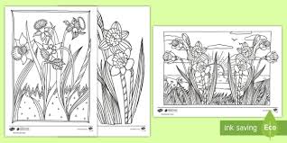 Daffodil coloring pages provided for educational purposes and personal use only. Daffodil Day Mindfulness Colouring Pages