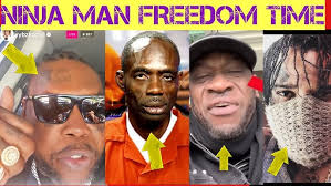 Joe Grine Riddim Mix (Full) Feat. Perfect, Lutan Fyah, Zamunda, Chezidek  (March 2019)