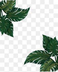 Vector Png Banana Leaf Green Banana Leaves Banana Leaf Frame Seaside Holiday National Day Holidays Gr Flower Art Painting Watercolor Art Prints Flower Painting