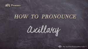 Permission to use microphone is blocked. How To Pronounce Axillary Axillary Pronunciation Youtube