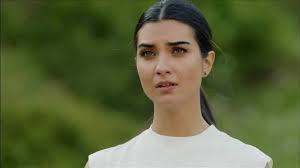 New Turkish Series: Black Money and Love