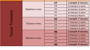 Las quejas también están aumentando debido a la carga sobre los sistemas respiratorio, digestivo, circulatorio y excretor. 34 Semanas Cuantos Meses Son Bebes De Marzo De 2015 Babycenter