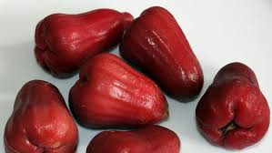 Sesuai dengan gelar yang disandangnya, buah jambu air jenis ini memiliki buah. 9 Jenis Jambu Air Termanis Punya Keunggulannya Masing Masing Hot Liputan6 Com