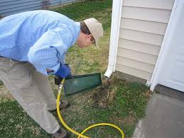 How often to pest control. How To Get The Best Results From Your Pest Control Service In Raleigh