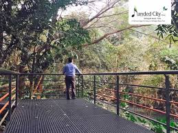 84.0 l nanded sargam at nanded city, industrial area, nanded, pune.vidya pratishthans nanded city public school, and pawar public school. Talk To Birds Or Listen To The Whispering Winds At Nanded City Pune Nature Is Your Perfect Companion Whisperingwind Birds Nature Nan City Outdoor Nanded