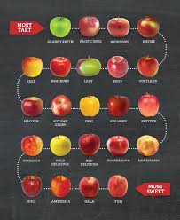 definitive guide for different types of apples and their