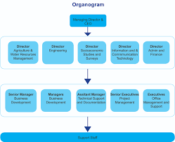 Organizational Structure Creative Consultants