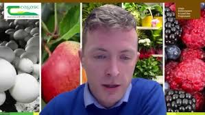 EU Producer Organisation Scheme Webinar