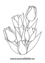 Ausmalbild Tulpenstrauss Ausmalen Blumen Ausmalbilder Ausmalbilder
