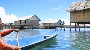 Biologi, karang, invertebrata, merapatkan, cnidaria, anemon, fotografi makro, pencelupan, anemon laut, sulawesi, biologi kelautan, invertebrata laut, pomacentridae, walea. Manusia Laut Sulawesi Suku Bajo Youtube