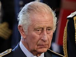 Queen Elizabeth death: Queen Consort Camilla 'in pain' after accident