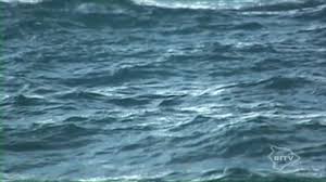 On the heels of world war ii, a magnitude 8.1 earthquake struck nankaido, japan, on dec. Big Island Tv Hawaii Leonie Poy 1946 Laupahoehoe Tsunami Survivor Facebook
