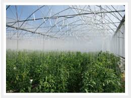 This expandable system emits a fine mist (1/2 gph output per nozzle) throughout your greenhouse providing it with controlled humidity and reducing temperatures up to 20° f (works like an evaporative cooler for 1/10 of the cost!). Fogging Misting Systems Greenhouse Temp Humidity Mistafog Australia