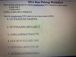 A pairs with t c pairs with g. Solved Dna Base Pairing Worksheet There Are Base Pairing Chegg Com