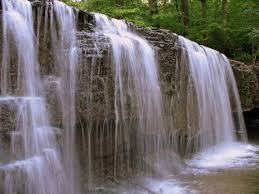 We did not find results for: Nerstrand Big Woods State Park