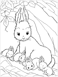 Check spelling or type a new query. Rabbit To Download Rabbit Kids Coloring Pages