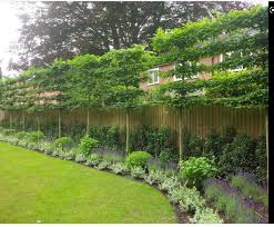 The first and most obvious option is to physically screen off the line of sight from the overlooking window, especially if it's just one small window over an otherwise private garden. Creating Privacy In Overlooked Garden Photos Inc Mumsnet